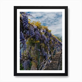 Amalfi Coast Blooms III Art Print