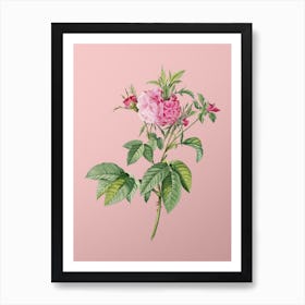 Vintage Pink Agatha Rose Botanical on Soft Pink n.0609 Art Print