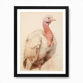 Vintage Bird Drawing Turkey 2 Art Print