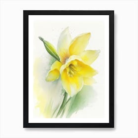 Daffodil Wildflower Watercolour Art Print
