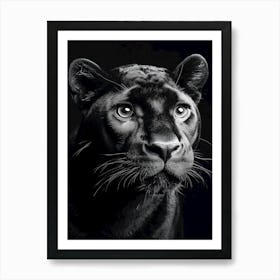 Portrait Of A Panther Art Print