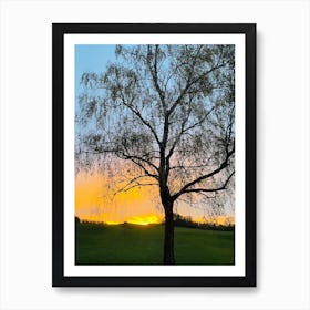 Sunset Over A Tree Art Print