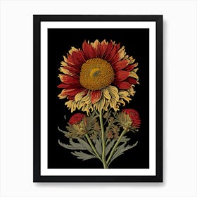 Blanket Flower Wildflower Vintage Botanical 1 Art Print