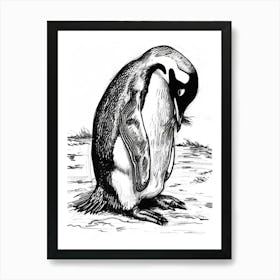 Emperor Penguin Preening Their Feathers 3 Art Print