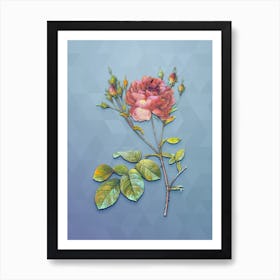 Vintage Pink Cumberland Rose Botanical Art on Summer Song Blue n.1390 Art Print