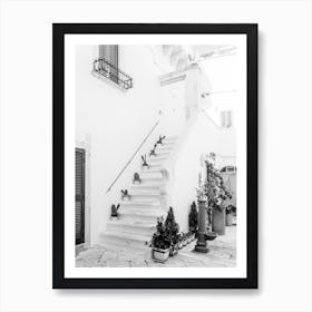 Stairs In Puglia Cactus Black And White Art Print