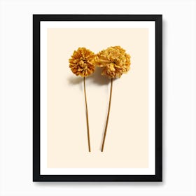 Yellow Dahlia I Art Print