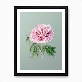 Vintage Double Red Curled Tree Peony Botanical Art on Mint Green n.0015 Art Print