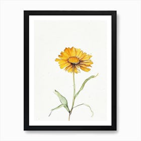 Calendula Leaf Minimalist Watercolour 1 Art Print