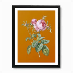 Vintage Pink Cabbage Rose de Mai Botanical on Sunset Orange n.0285 Art Print