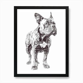 French Bulldog Line Sketch Art Print