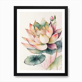 Lotus Flower Pattern Watercolour Ink Pencil 1 Art Print