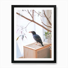 Bird On A Wooden Box Art Print