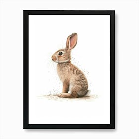 Britannia Petite Rabbit Nursery Illustration 4 Art Print