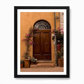 Italian Door With Cacti In Tuscany Art Print