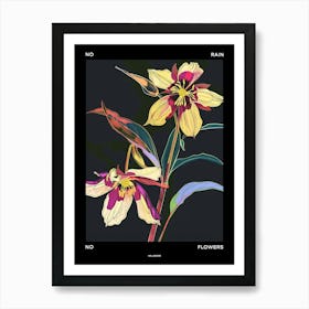 No Rain No Flowers Poster Hellebore 4 Art Print