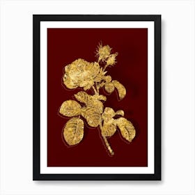 Vintage Provence Rose Botanical in Gold on Red Art Print