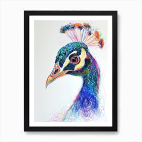 Peacock Portrait Sketch 5 Art Print