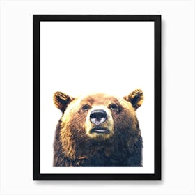 Bear Color Art Print