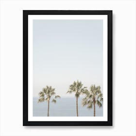 Palm Trees And Ocean Art Print