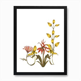 Fritillary Garden Art Print