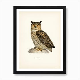 Eurasian Eagle Owl, The Von Wright Brothers Art Print