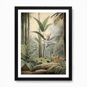 Vintage Jungle Botanical Illustration Bird Of Paradise 2 Art Print