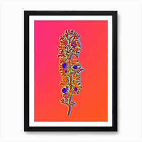 Neon Cuspidate Rose Botanical in Hot Pink and Electric Blue n.0037 Art Print