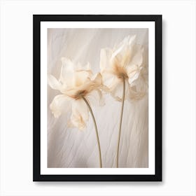 Boho Dried Flowers Tulip 6 Art Print