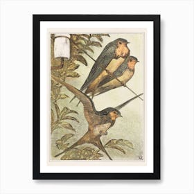 Three Swallows, Theo Van Hoytema Art Print