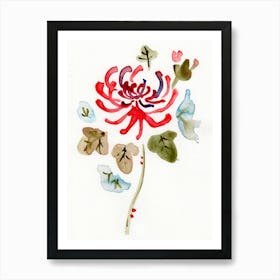 Img054 Art Print