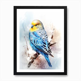 Snowy Budgie Illustration 2 Art Print