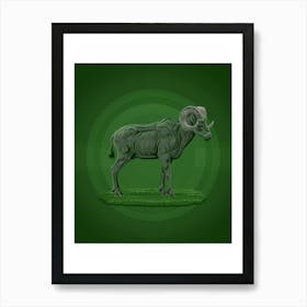 Ram Illustration 1 Art Print