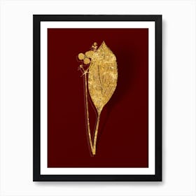 Vintage Bulltongue Arrowhead Botanical in Gold on Red n.0160 Art Print