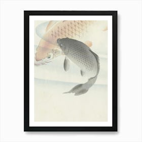 Japanese Ukiyo-E Koi Carp Art Print