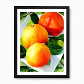 Pomelo Italian Watercolour fruit Art Print