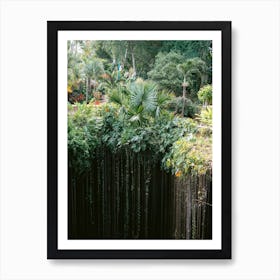 Ik Kil Cenote Yucatan Mexico Art Print