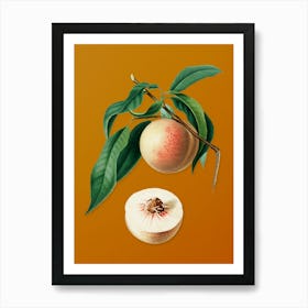 Vintage Peach Botanical on Sunset Orange n.0545 Art Print