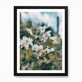 L'air de june Art Print