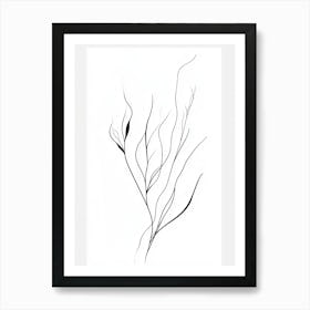 Black And White Drawing Of A Plant 2 Art Print