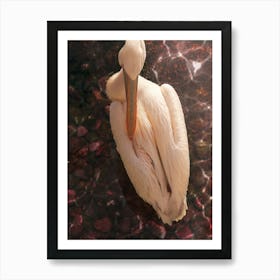 A Pink Pelican In Glowing Pink Water Art Print