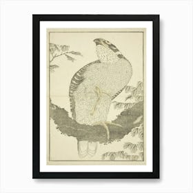 Hawk, From The Picture Book Of Realistic Paintings, Katsushika Hokusai Art Print