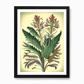 Kangaroo Paw Fern 1 Vintage Botanical Poster Art Print