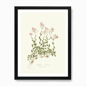 Aloe Vera 1 Art Print