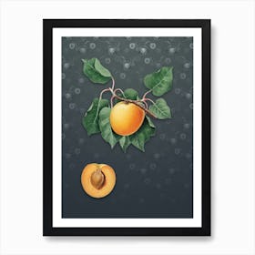 Vintage German Apricot Botanical on Slate Gray Pattern n.0026 Art Print