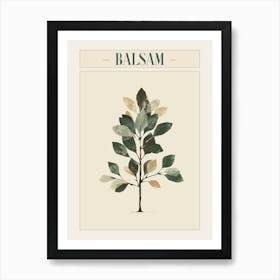 Balsam Tree Minimal Japandi Illustration 3 Poster Art Print