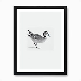 Mallard Duck B&W Pencil Drawing 3 Bird Art Print