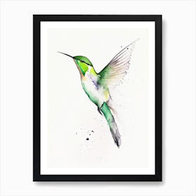 Booted Racket Tail Hummingbird Minimalist Watercolour Art Print