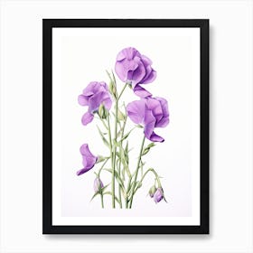 Sweet Peas Flower Vintage Botanical 0 Art Print