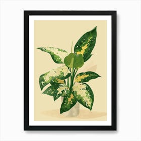 Dieffenbachia Plant Minimalist Illustration 1 Art Print